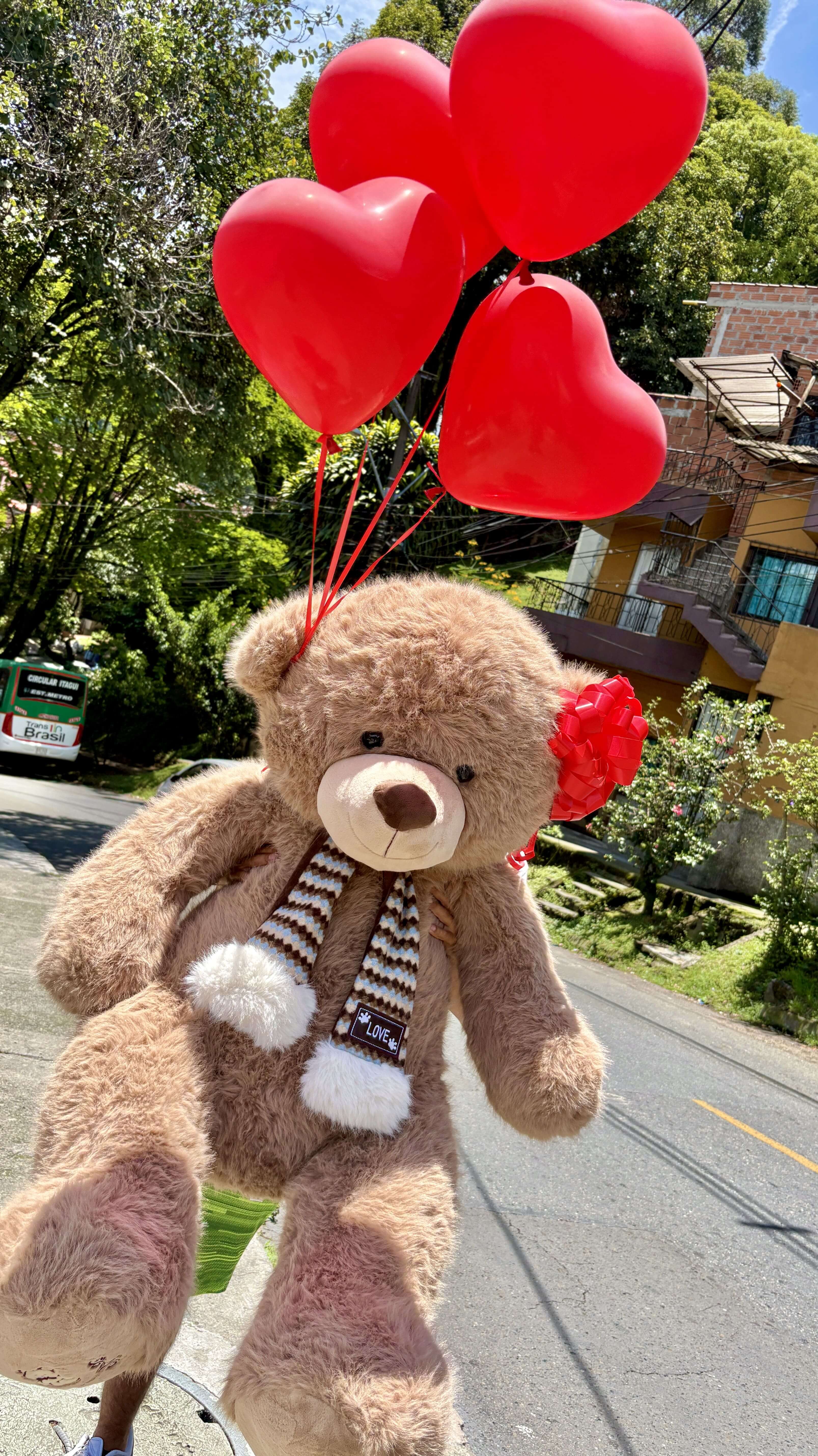 Arreglos con Peluches